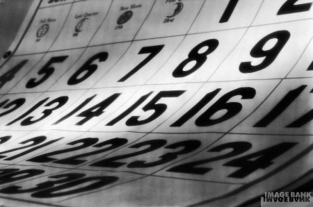 Calendario de actividades